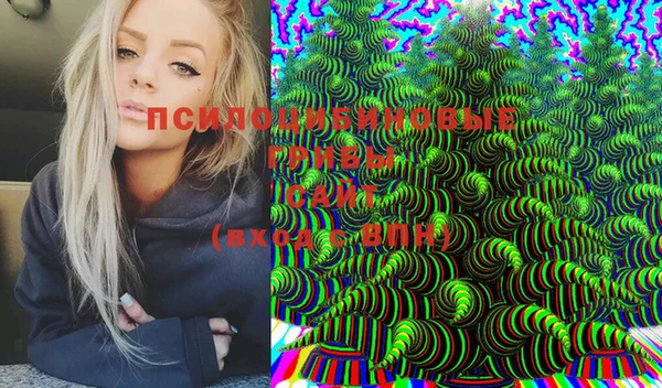 дурь Хадыженск